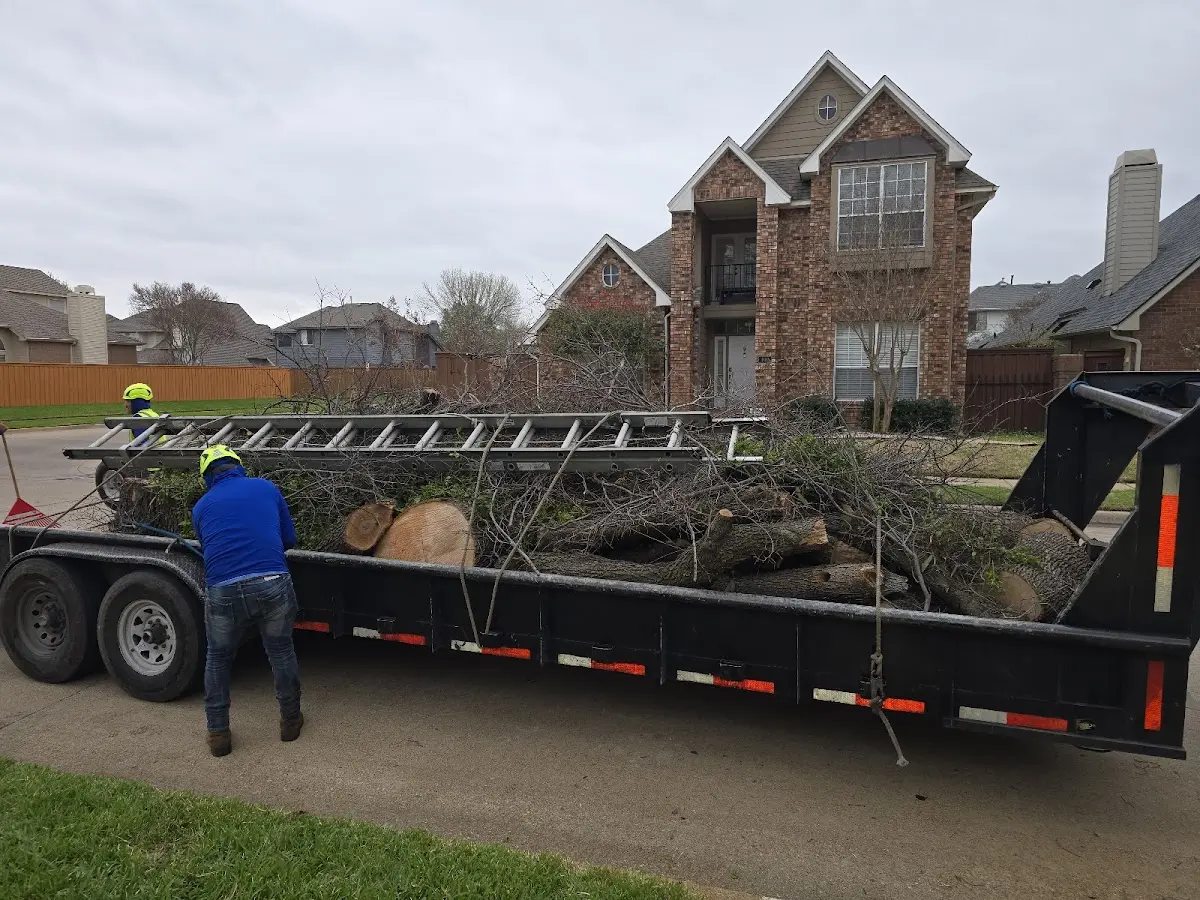 Expert Tree Fertilization with proper safety equipment in Lenox